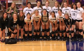 Volleyball 2011 NISD runners up